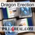 Dragon Erection viagra5